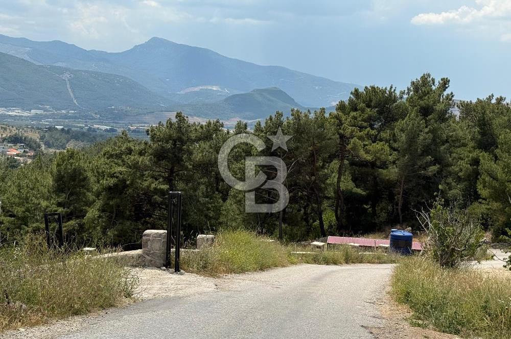 İzmir Kemalpaşa Damlacıkta Acil Satılık Arsa