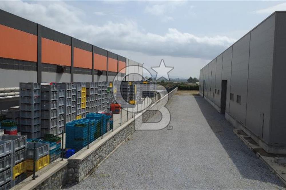 AYDIN ORTAKLAR OSB  25.000 m² ARSA ÜZERİNE, 14.240 m² KAPALI ALANA SAHİP FABRİKA