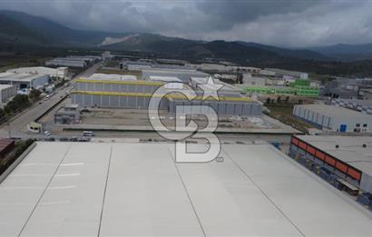 AYDIN ORTAKLAR OSB  25.000 m² ARSA ÜZERİNE, 14.240 m² KAPALI ALANA SAHİP FABRİKA
