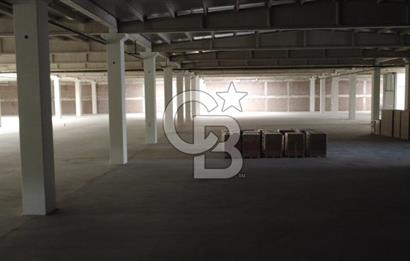 AYDIN ORTAKLAR OSB  25.000 m² ARSA ÜZERİNE, 14.240 m² KAPALI ALANA SAHİP FABRİKA