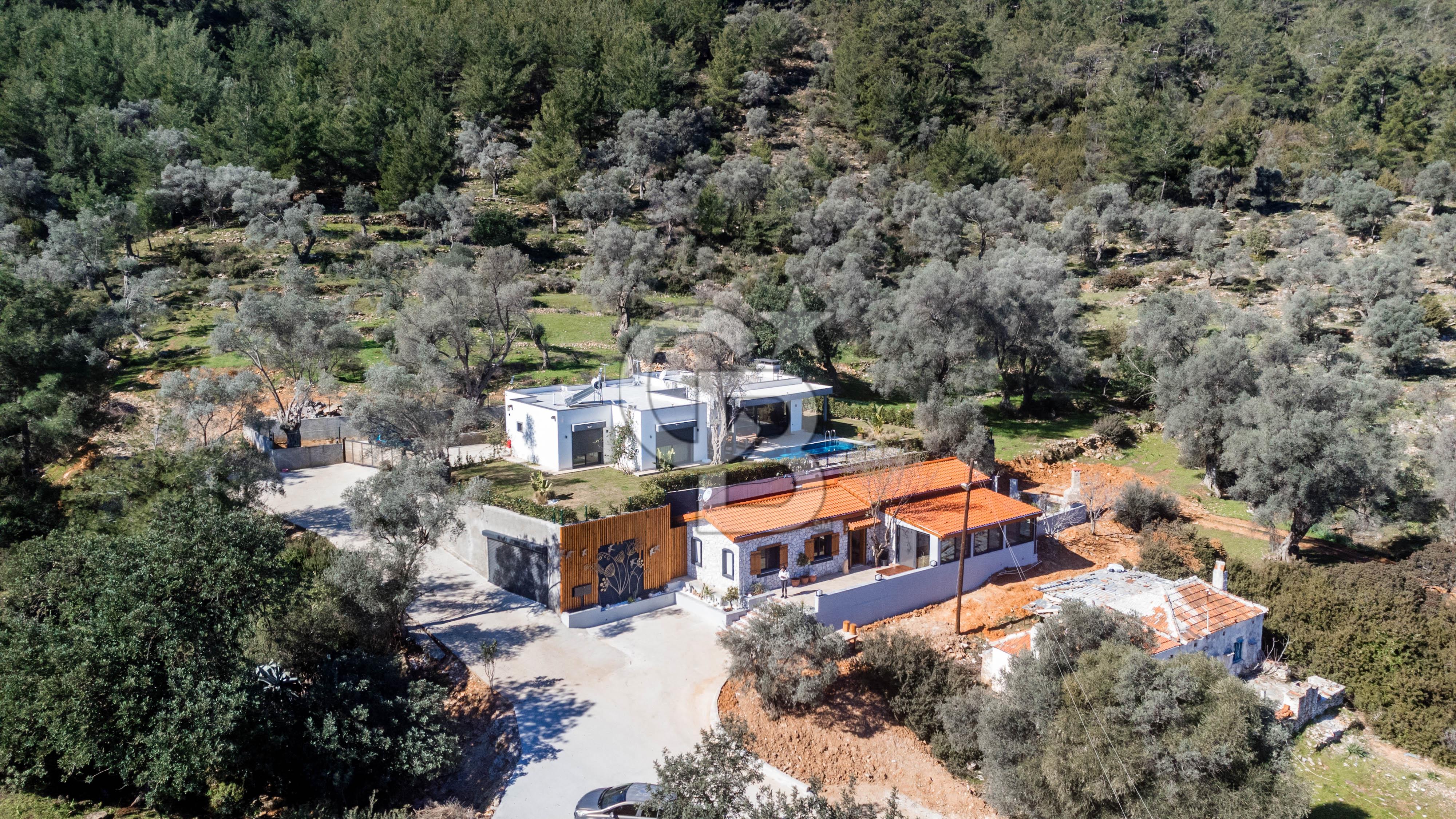 Bodrum Kızılağaç'ta geniş bahçeli havuzlu 3+1 villa ve 2+1 daire