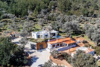 Bodrum Kızılağaç'ta geniş bahçeli havuzlu 3+1 villa ve 2+1 daire