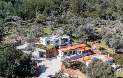 Bodrum Kızılağaç'ta geniş bahçeli havuzlu 3+1 villa ve 2+1 daire