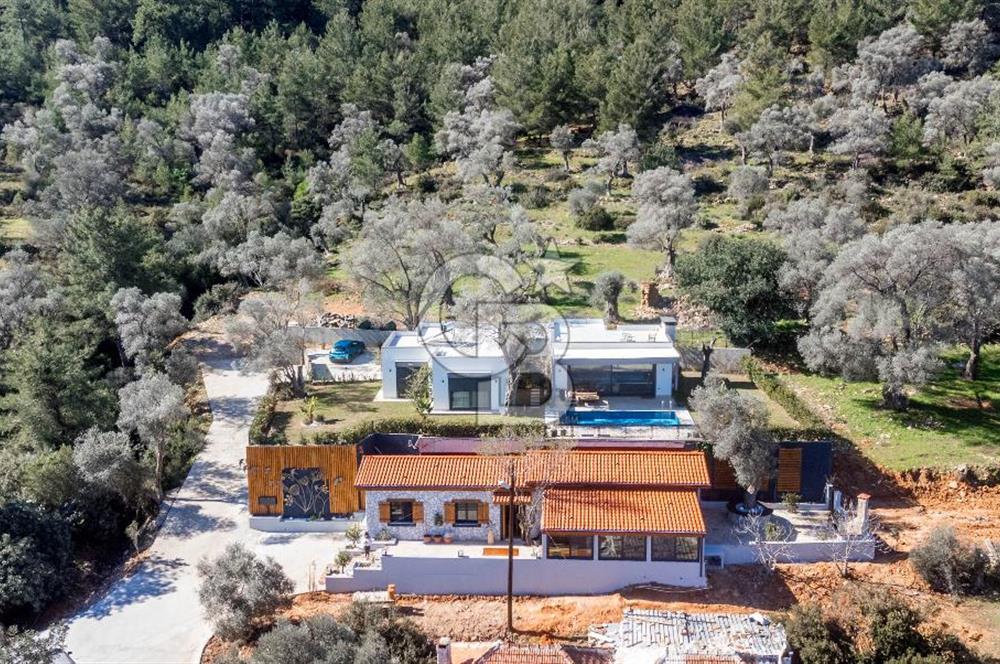 Bodrum Kızılağaç'ta geniş bahçeli havuzlu 3+1 villa ve 2+1 daire