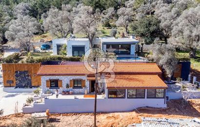 Bodrum Kızılağaç'ta geniş bahçeli havuzlu 3+1 villa ve 2+1 daire