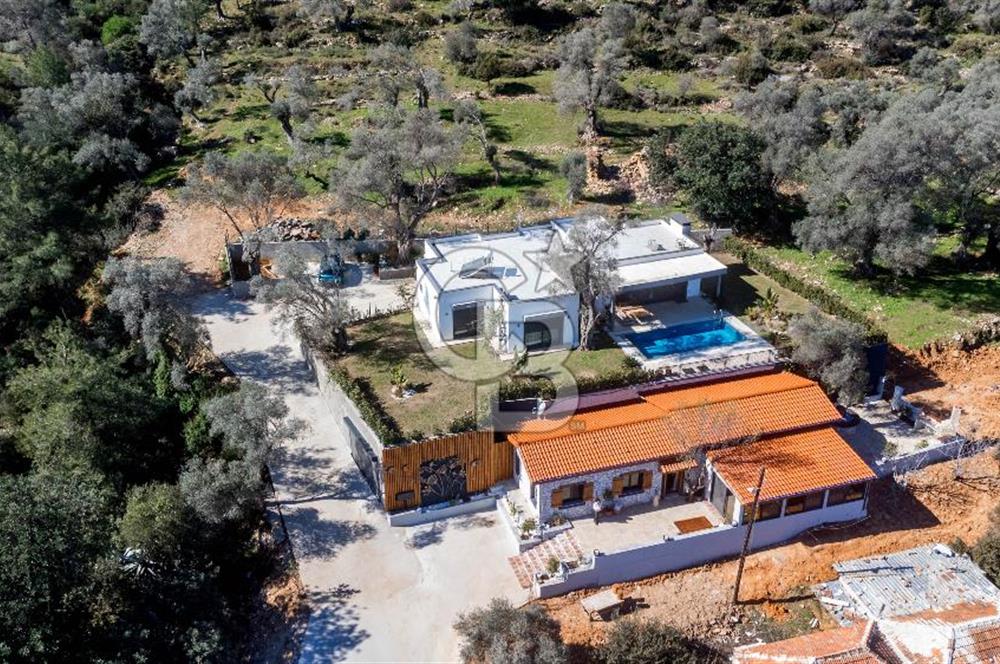 Bodrum Kızılağaç'ta geniş bahçeli havuzlu 3+1 villa ve 2+1 daire