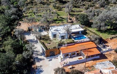 Bodrum Kızılağaç'ta geniş bahçeli havuzlu 3+1 villa ve 2+1 daire