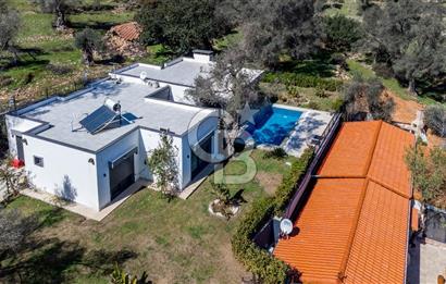 Bodrum Kızılağaç'ta geniş bahçeli havuzlu 3+1 villa ve 2+1 daire