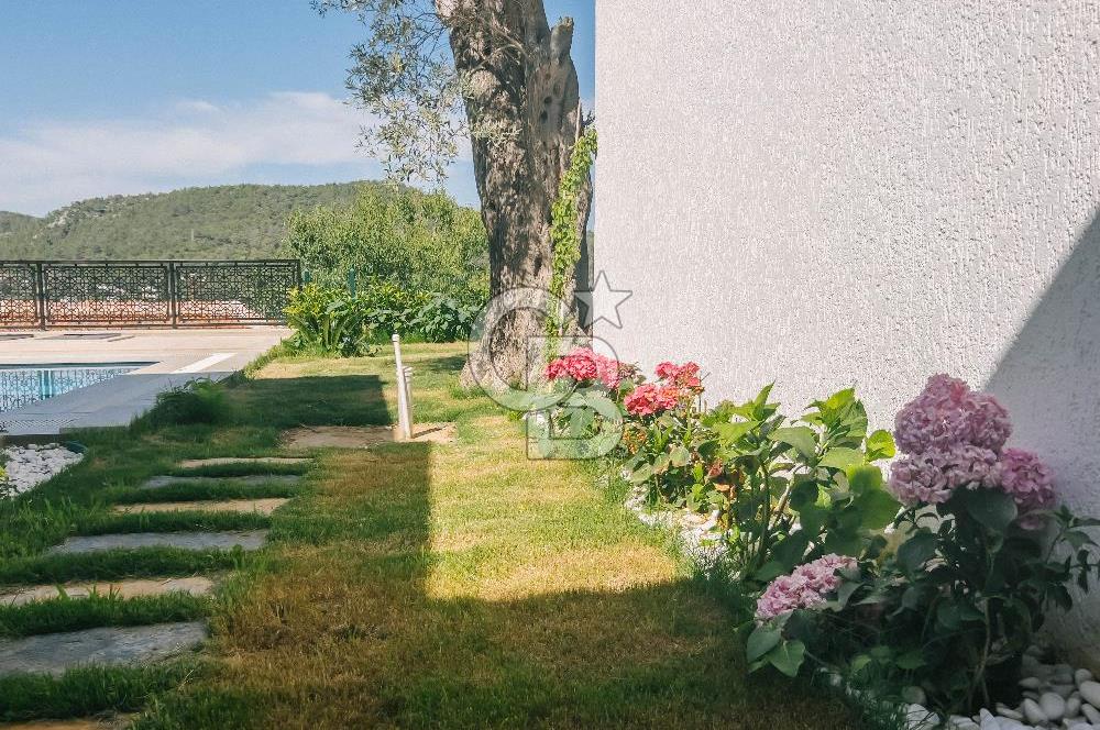 Bodrum Kızılağaç'ta geniş bahçeli havuzlu 3+1 villa ve 2+1 daire