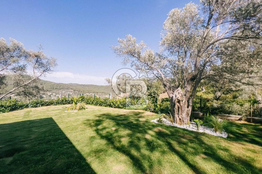 Bodrum Kızılağaç'ta geniş bahçeli havuzlu 3+1 villa ve 2+1 daire