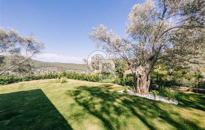 Bodrum Kızılağaç'ta geniş bahçeli havuzlu 3+1 villa ve 2+1 daire