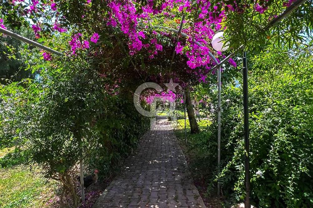 Bodrum, Avta'da Denize 5 Dakika Mesafede Üst Kat 1+1 Daire