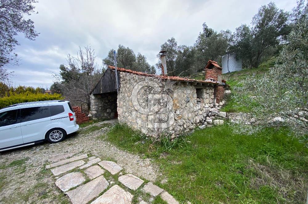 URLA DEMİRCİLİ KÖYÜ'NDE SATILIK 3+1 MÜSTAKİL EV