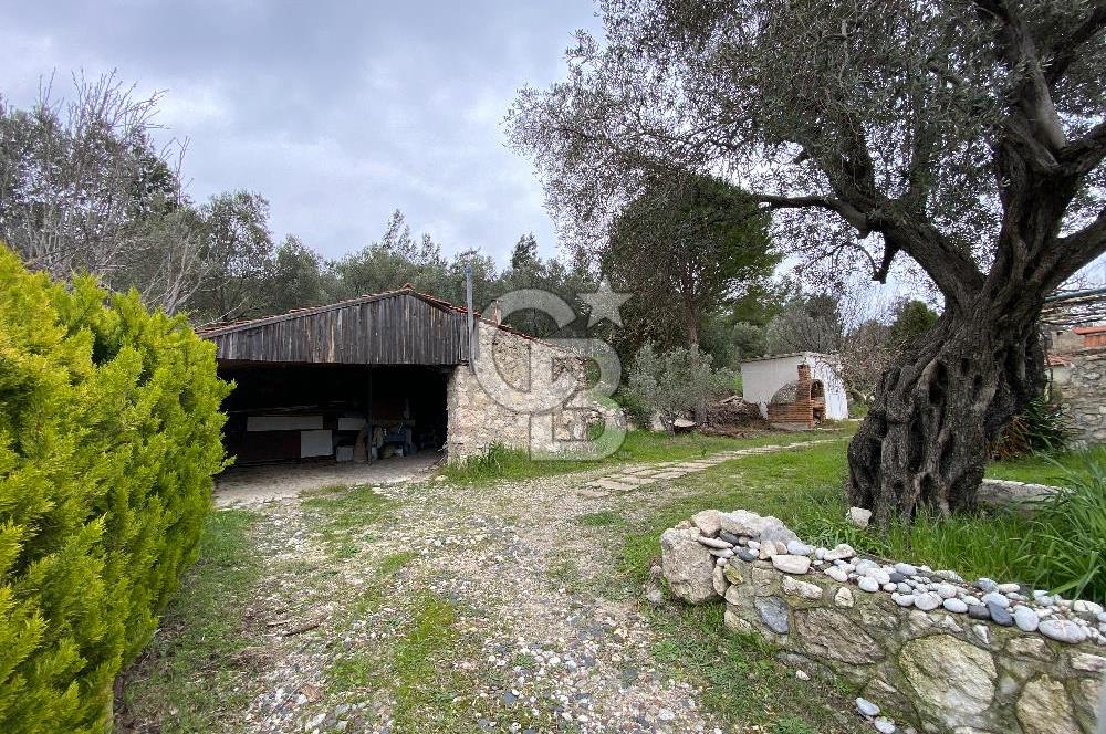 URLA DEMİRCİLİ KÖYÜ'NDE SATILIK 3+1 MÜSTAKİL EV