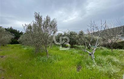 URLA DEMİRCİLİ KÖYÜ'NDE SATILIK 3+1 MÜSTAKİL EV