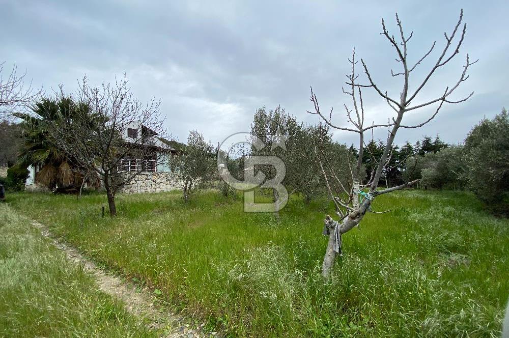 URLA DEMİRCİLİ KÖYÜ'NDE SATILIK 3+1 MÜSTAKİL EV