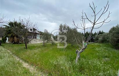 URLA DEMİRCİLİ KÖYÜ'NDE SATILIK 3+1 MÜSTAKİL EV