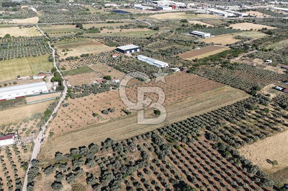 TORBALI ÇAPAK SATILIK TARLA 