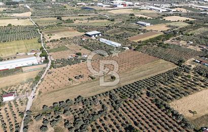 TORBALI ÇAPAK SATILIK TARLA 