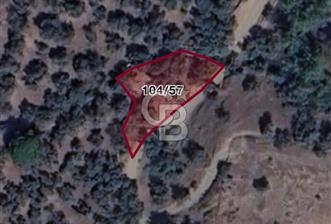 Milas Karşıyaka'da Ulaşımı Kolay, Küçük Parsel Satılık Zeytinlik