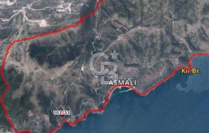 Balıkesir Marmara adası Asmalı satılık 7 dönüm tarla zeytinlik