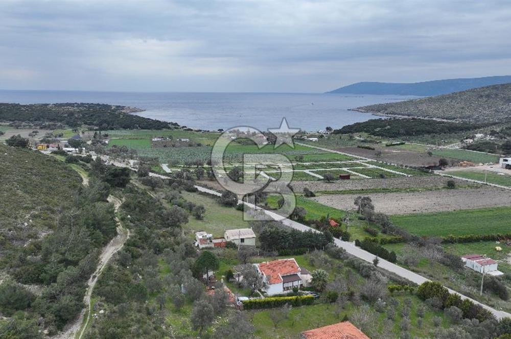URLA DEMİRCİLİ KÖYÜ'NDE SATILIK 3+1 MÜSTAKİL EV