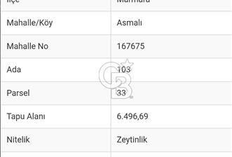 Balıkesir Marmara adası Asmalı satılık 7 dönüm tarla zeytinlik