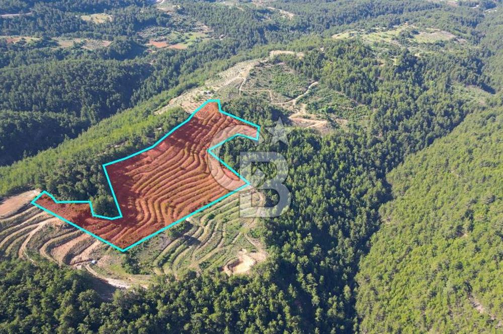 Muğla İli, Menteşe İlçesi, Akçaova Mahallesi, Alakavak Mevkii,  Satılık Tarla