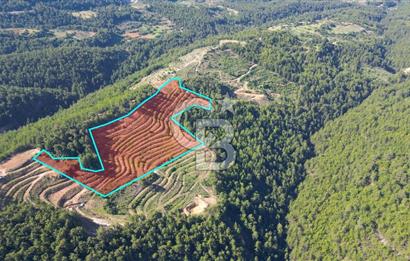 Muğla İli, Menteşe İlçesi, Akçaova Mahallesi, Alakavak Mevkii,  Satılık Tarla