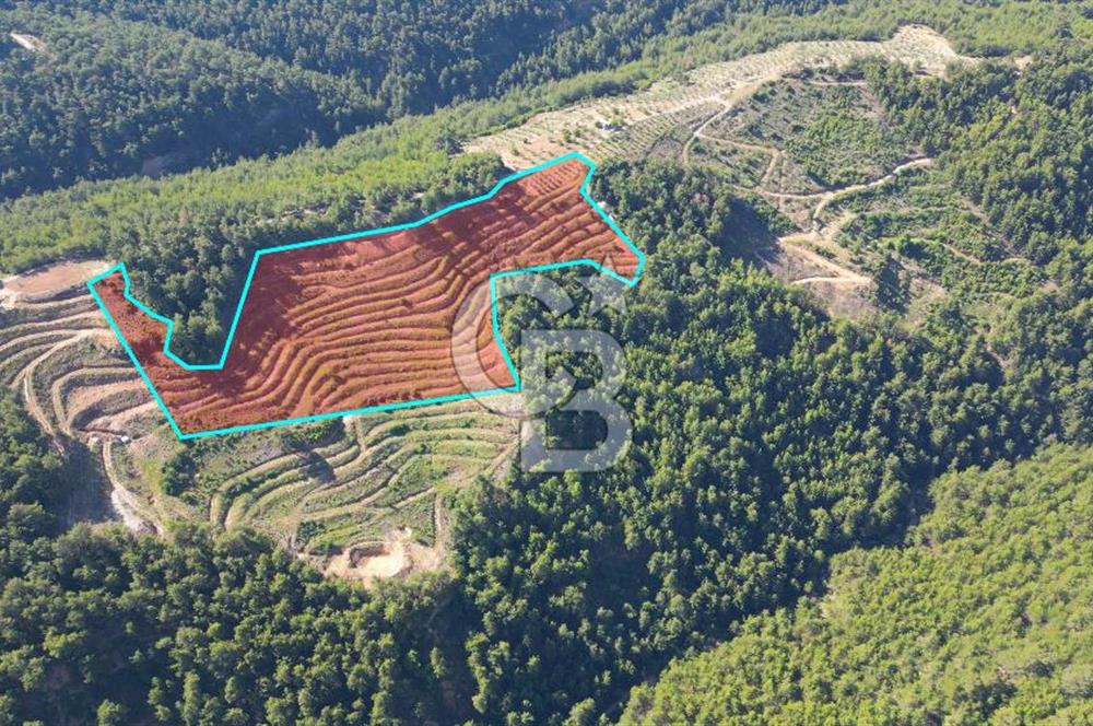 Muğla İli, Menteşe İlçesi, Akçaova Mahallesi, Alakavak Mevkii,  Satılık Tarla