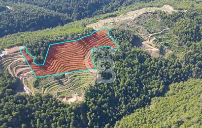 Muğla İli, Menteşe İlçesi, Akçaova Mahallesi, Alakavak Mevkii,  Satılık Tarla