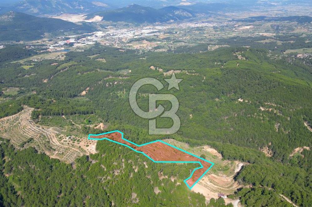 Muğla İli, Menteşe İlçesi, Akçaova Mahallesi, Alakavak Mevkii,  Satılık Tarla