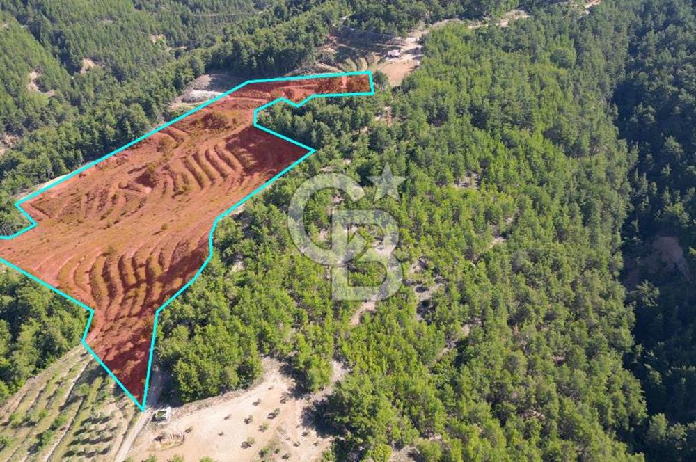 Muğla İli, Menteşe İlçesi, Akçaova Mahallesi, Alakavak Mevkii,  Satılık Tarla