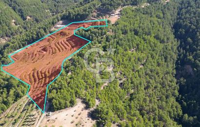 Muğla İli, Menteşe İlçesi, Akçaova Mahallesi, Alakavak Mevkii,  Satılık Tarla