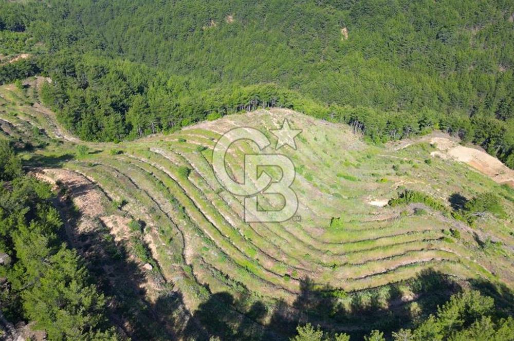 Muğla İli, Menteşe İlçesi, Akçaova Mahallesi, Alakavak Mevkii,  Satılık Tarla