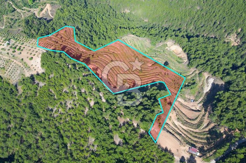 Muğla İli, Menteşe İlçesi, Akçaova Mahallesi, Alakavak Mevkii,  Satılık Tarla