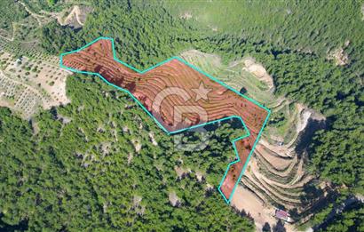 Muğla İli, Menteşe İlçesi, Akçaova Mahallesi, Alakavak Mevkii,  Satılık Tarla