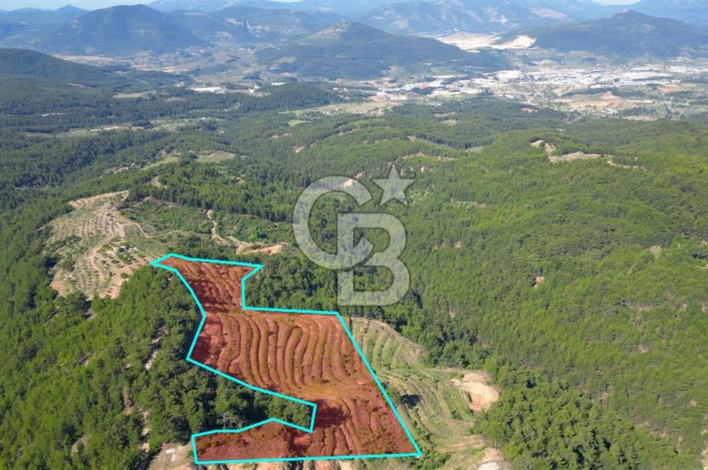 Muğla İli, Menteşe İlçesi, Akçaova Mahallesi, Alakavak Mevkii,  Satılık Tarla