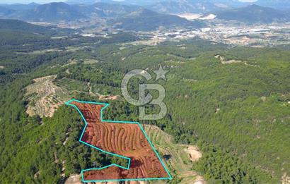Muğla İli, Menteşe İlçesi, Akçaova Mahallesi, Alakavak Mevkii,  Satılık Tarla