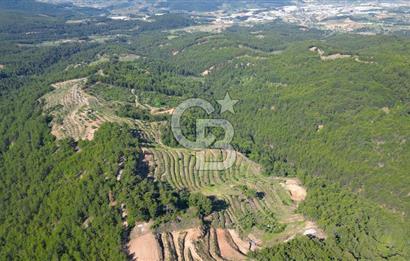 Muğla İli, Menteşe İlçesi, Akçaova Mahallesi, Alakavak Mevkii,  Satılık Tarla