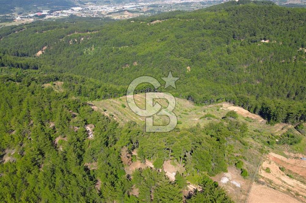 Muğla İli, Menteşe İlçesi, Akçaova Mahallesi, Alakavak Mevkii,  Satılık Tarla