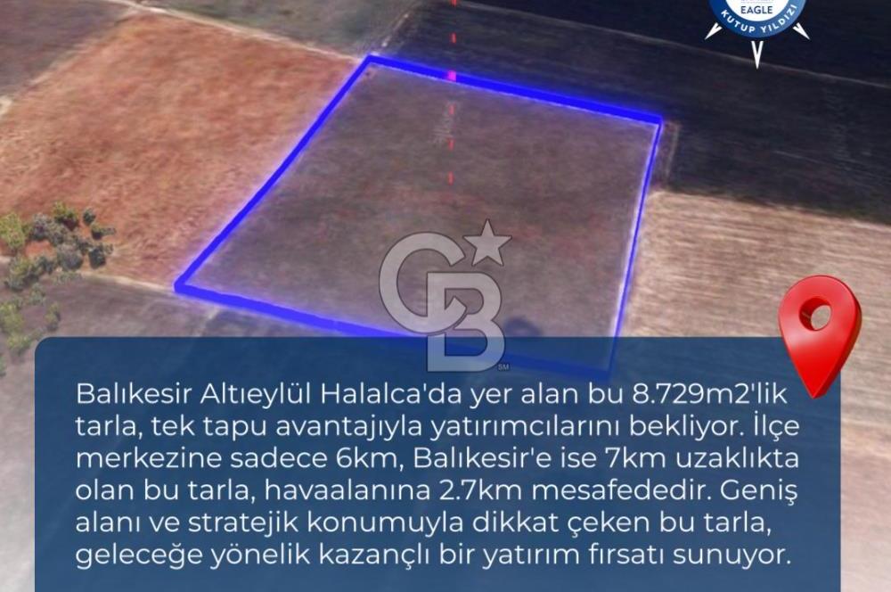 BALIKESİR / ALTIEYLÜL / HALALCA MH.'DE 8.729 M² FIRSAT TARLA