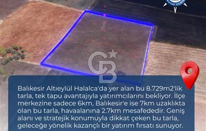 BALIKESİR / ALTIEYLÜL / HALALCA MH.'DE 8.729 M² FIRSAT TARLA