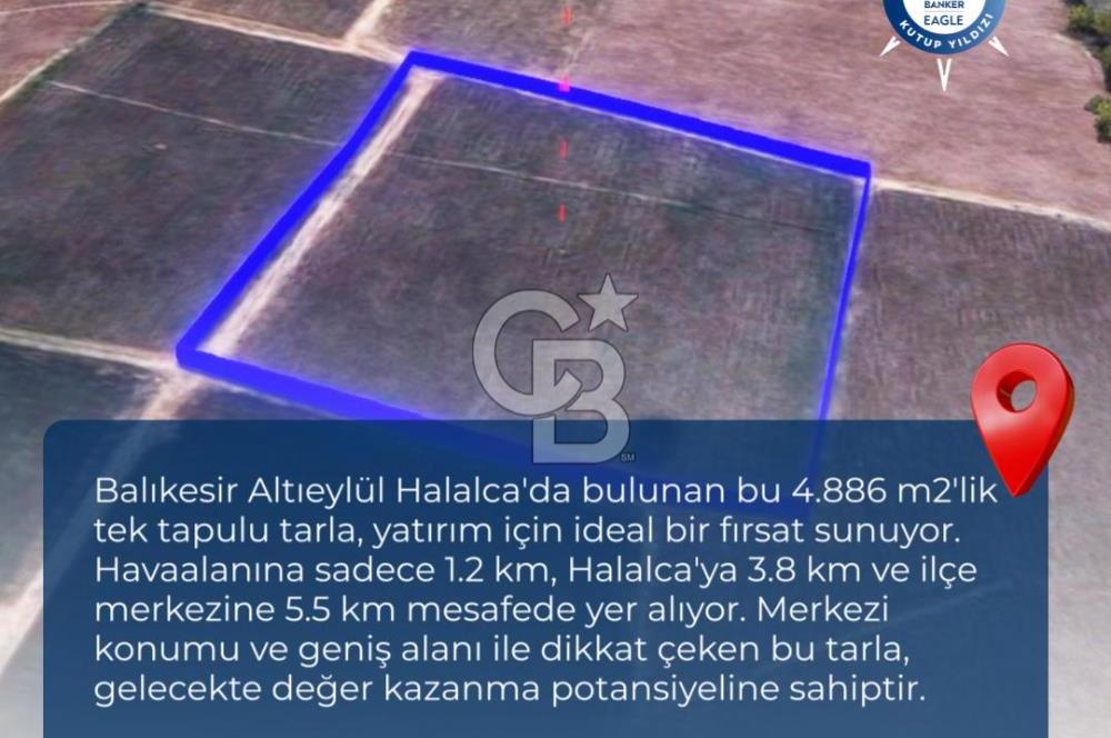 BALIKESİR / ALTIEYLÜL / HALALCA MH.'DE 4.886 M² FIRSAT TARLA