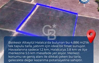 BALIKESİR / ALTIEYLÜL / HALALCA MH.'DE 4.886 M² FIRSAT TARLA