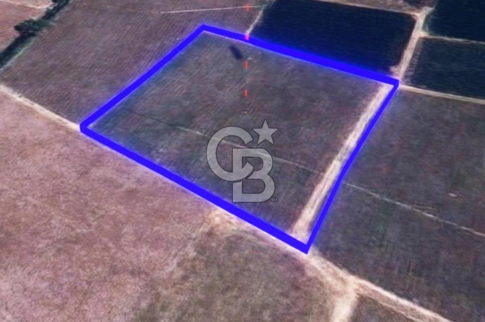 BALIKESİR / ALTIEYLÜL / HALALCA MH.'DE 4.886 M² FIRSAT TARLA
