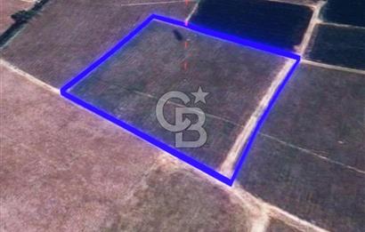 BALIKESİR / ALTIEYLÜL / HALALCA MH.'DE 4.886 M² FIRSAT TARLA