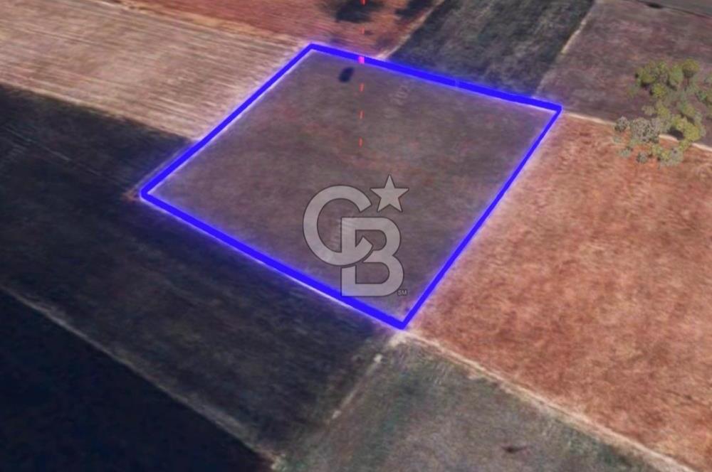 BALIKESİR / ALTIEYLÜL / HALALCA MH.'DE 8.729 M² FIRSAT TARLA