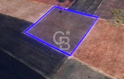 BALIKESİR / ALTIEYLÜL / HALALCA MH.'DE 8.729 M² FIRSAT TARLA