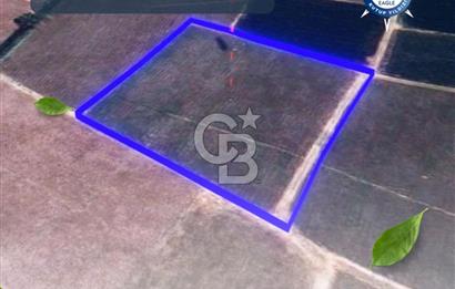 BALIKESİR / ALTIEYLÜL / HALALCA MH.'DE 4.886 M² FIRSAT TARLA